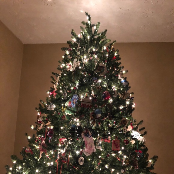 Meet your Posher, Erin - Picture 1 of 1